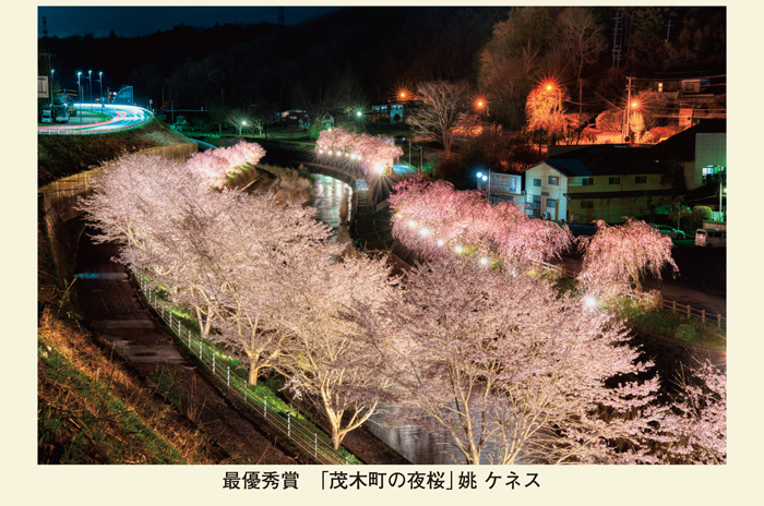 最優秀賞「茂木町の夜桜」姚 ケネス