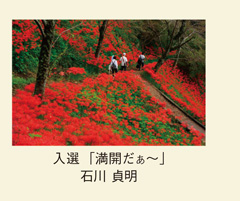 入選「満開だぁ～」石川 貞明