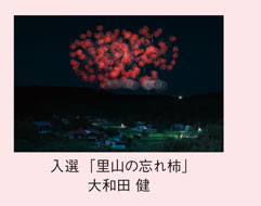 入選「里山の忘れ柿」大和田 健