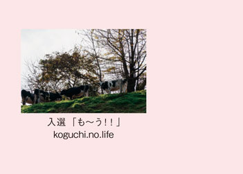 入選「も～う！！」koguchi.no.life